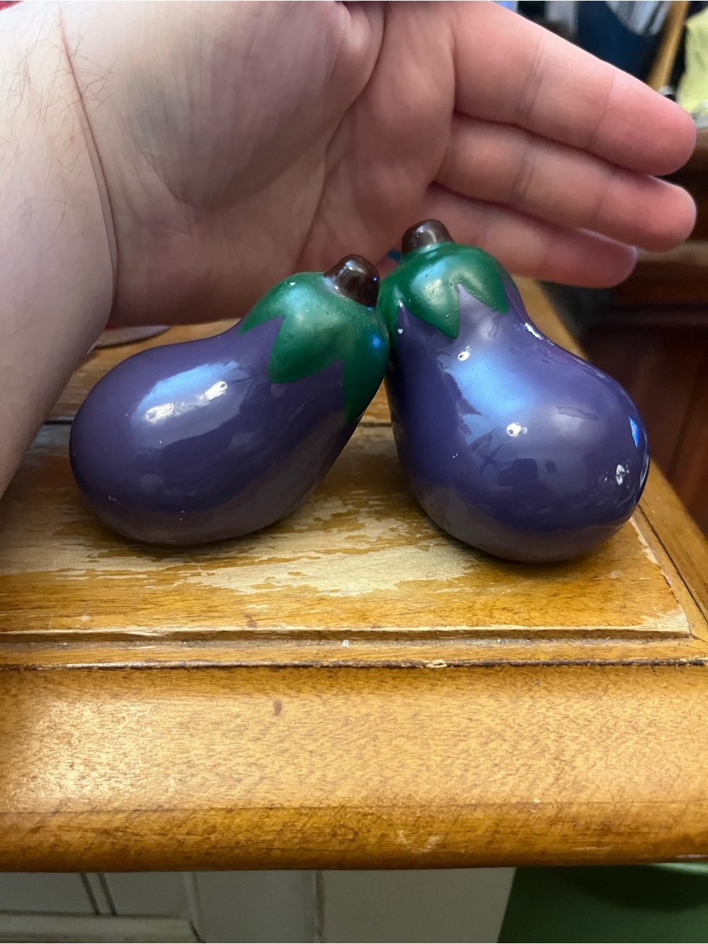Purple Eggplant Ceramic Salt and Pepper Shakers